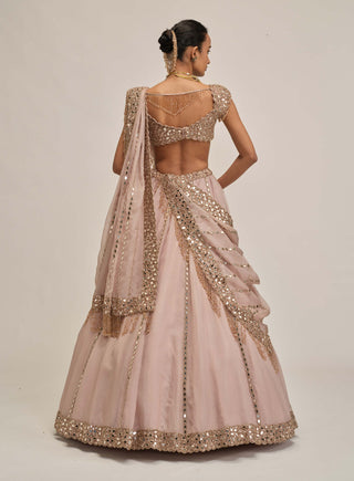 Ash pink linear mirror lehenga set