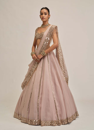 Ash pink linear mirror lehenga set