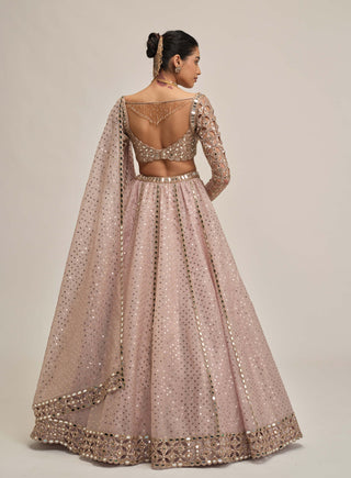 Ash pink cutwork sleeve lehenga set
