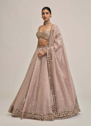 Ash pink cutwork sleeve lehenga set