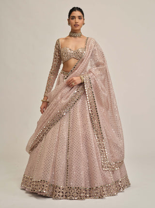 Ash pink cutwork sleeve lehenga set