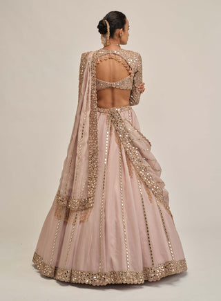 Ash pink full-sleeve lehenga set