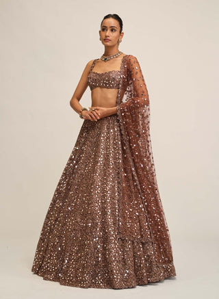 Deep beige mirror embroidered lehenga set