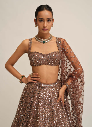 Deep beige mirror embroidered lehenga set