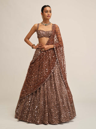 Deep beige mirror embroidered lehenga set
