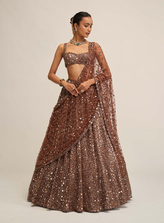Deep beige mirror embroidered lehenga set