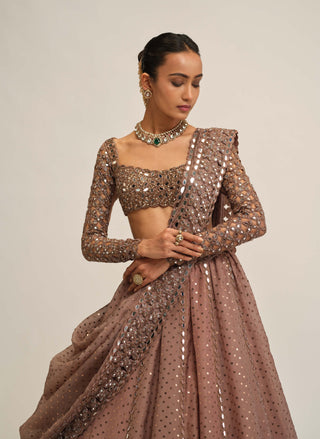 Deep beige sequin embroidered lehenga set