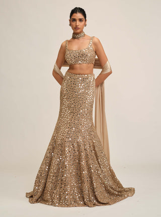 Light beige fishcut lehenga set
