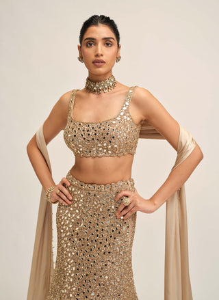 Light beige fishcut lehenga set