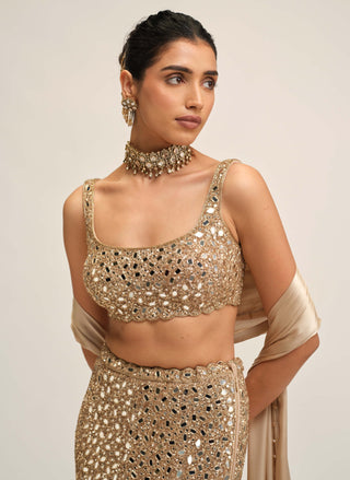 Light beige fishcut lehenga set