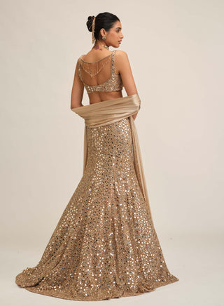 Light beige fishcut lehenga set