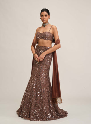 Deep beige fishcut lehenga set