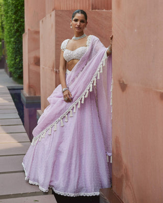 Lavender mirror and pearl lehenga set