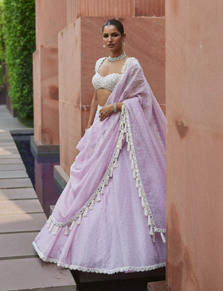 Lavender mirror and pearl lehenga set