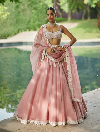 Dusty rose organza mirror and pearl lehenga set