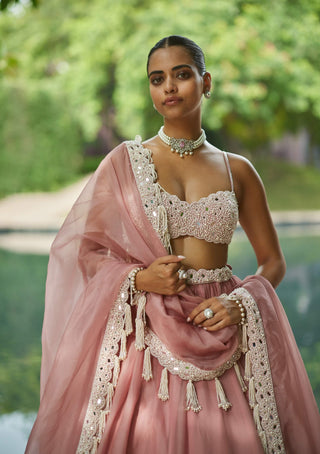 Dusty rose organza mirror and pearl lehenga set