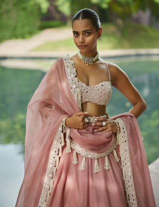 Dusty rose organza mirror and pearl lehenga set