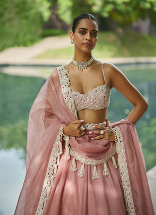 Dusty rose organza mirror and pearl lehenga set