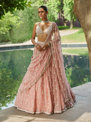 Dusty rose organza long pearl tassels lehenga set
