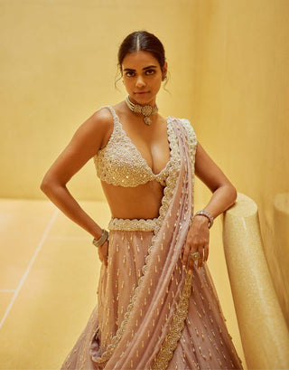 Ash pink pearl drop organza lehenga set