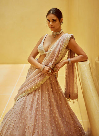 Ash pink pearl drop organza lehenga set