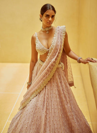 Ash pink pearl drop organza lehenga set