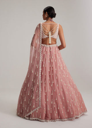 Dusty rose organza long pearl tassels lehenga set