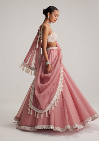 Dusty rose organza mirror and pearl lehenga set