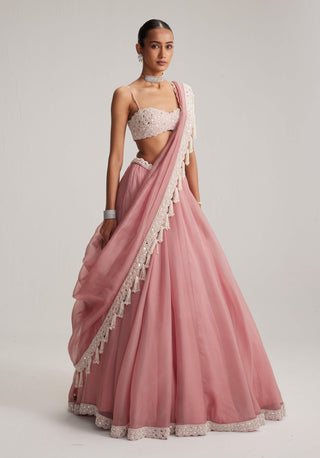 Dusty rose organza mirror and pearl lehenga set