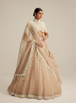 Light beige organza mirror and pearl lehenga set