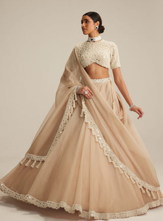 Light beige organza mirror and pearl lehenga set