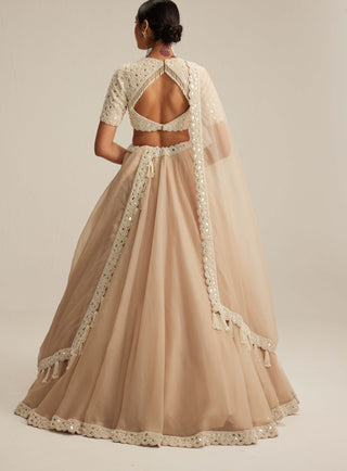 Light beige organza mirror and pearl lehenga set