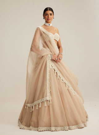 Light beige organza mirror and pearl lehenga set