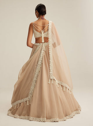 Light beige organza mirror and pearl lehenga set