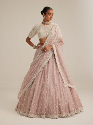 Ash pink pearl drop organza lehenga set