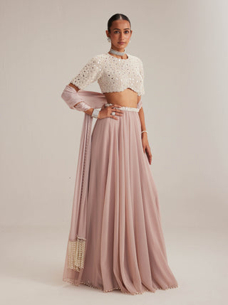 Ash pink georgette skirt with high neck blouse and stole