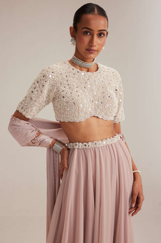 Ash pink georgette skirt with high neck blouse and stole