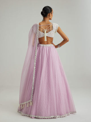 Lavender mirror and pearl lehenga set