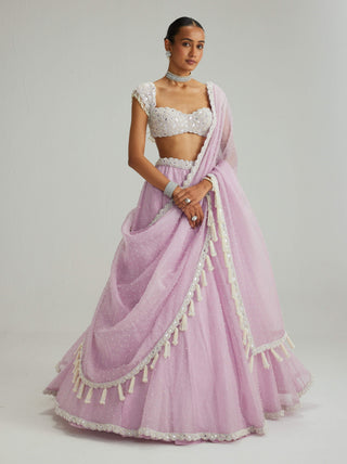 Lavender mirror and pearl lehenga set