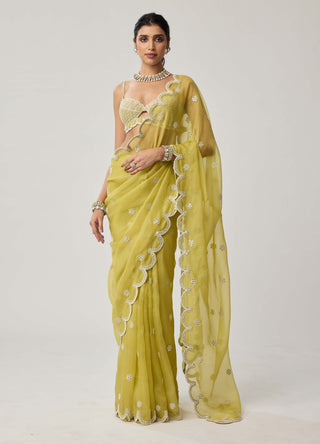 Fern green organza sari and blouse
