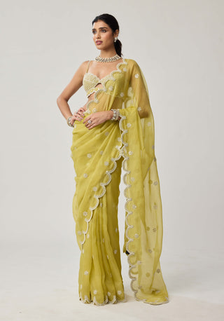 Fern green organza sari and blouse