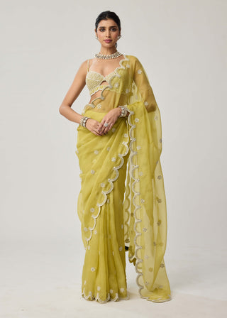Fern green organza sari and blouse