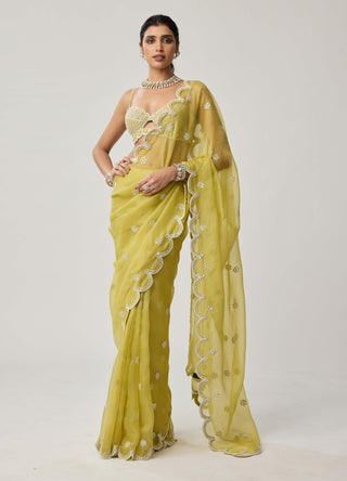 Fern green organza sari and blouse