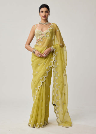 Fern green organza sari and blouse