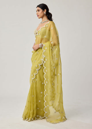 Fern green organza sari and blouse