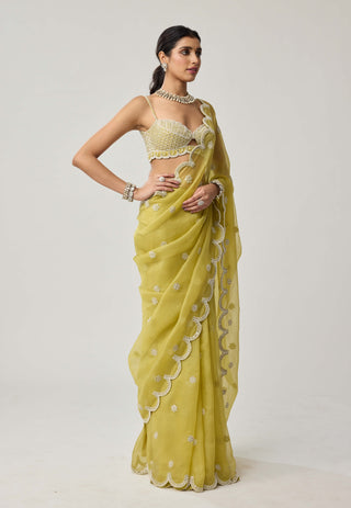 Fern green organza sari and blouse