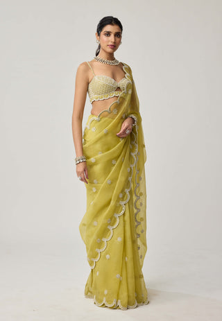 Fern green organza sari and blouse