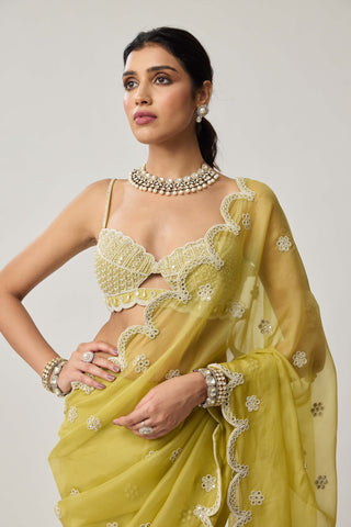 Fern green organza sari and blouse