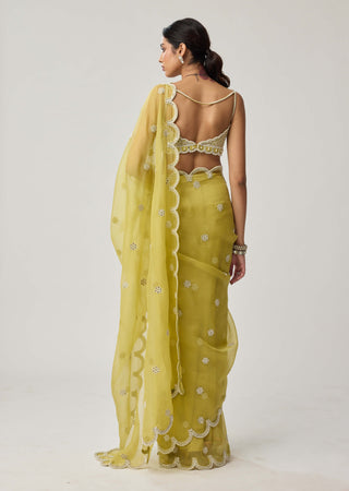 Fern green organza sari and blouse