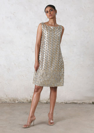 Mandarmani metallic dress